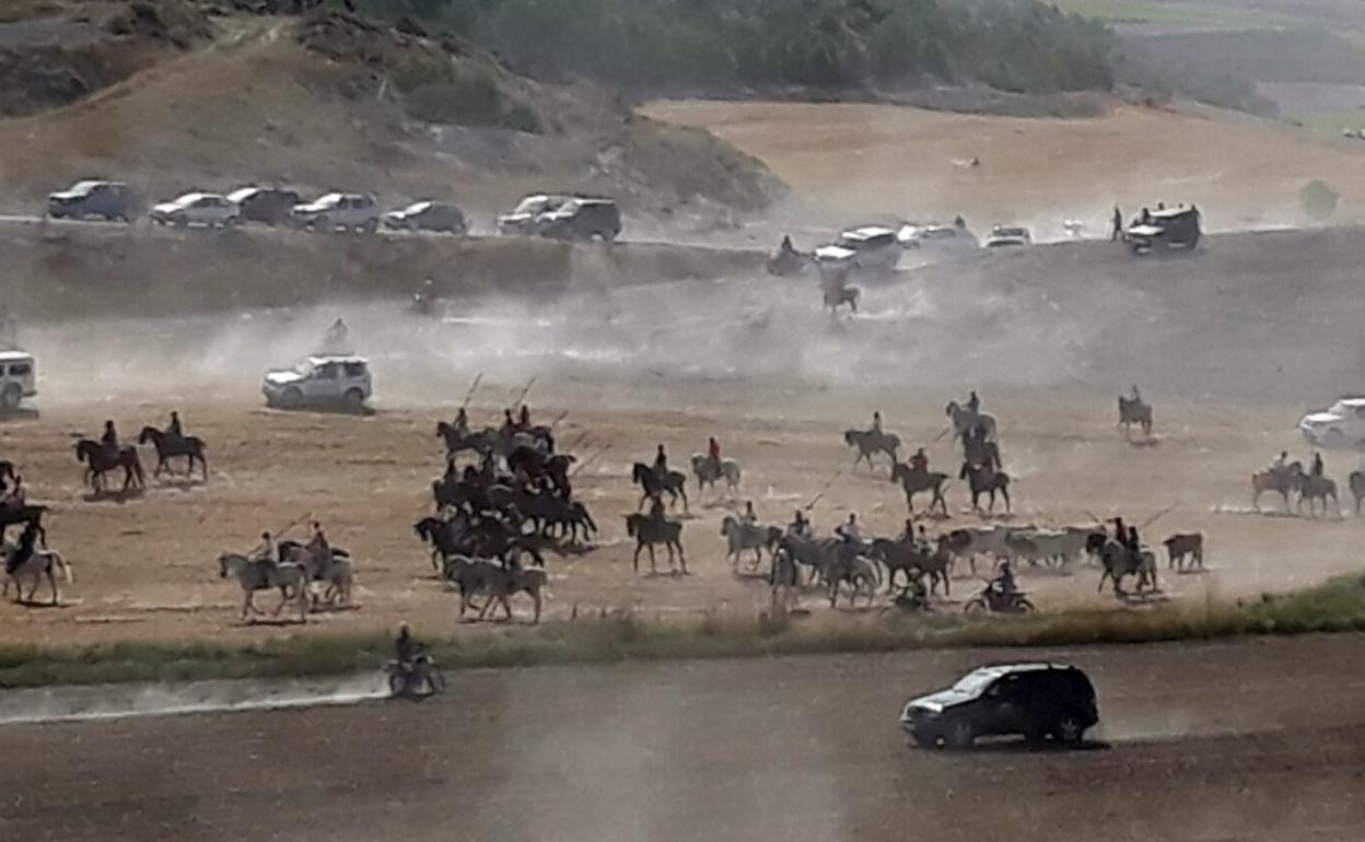 Encierro campero en Langayo durante las fiestas del año pasado. 