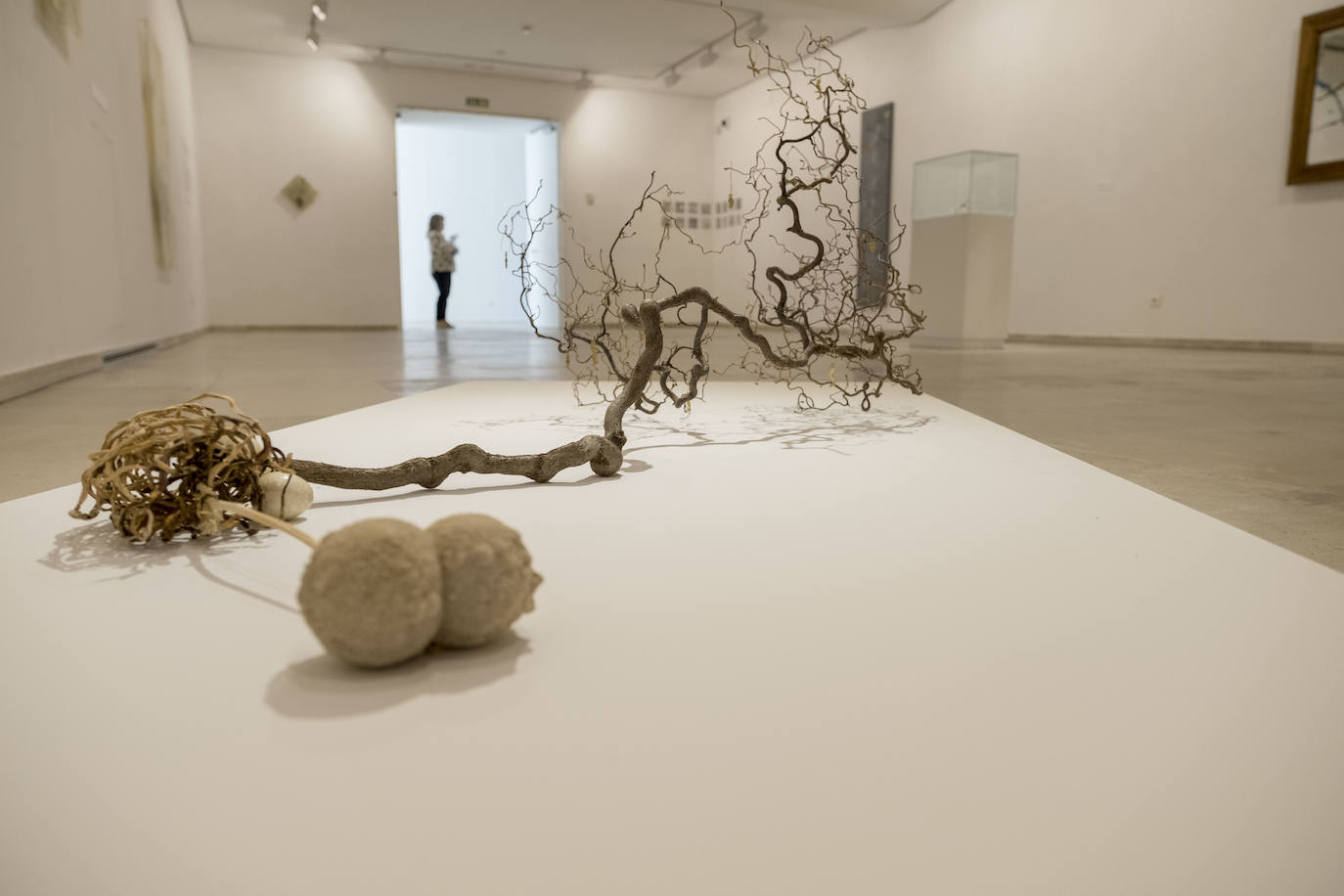 Fotos: Carlos de Paz expone sus últimas obras en la Sala 0 del Museo Patio Herreriano