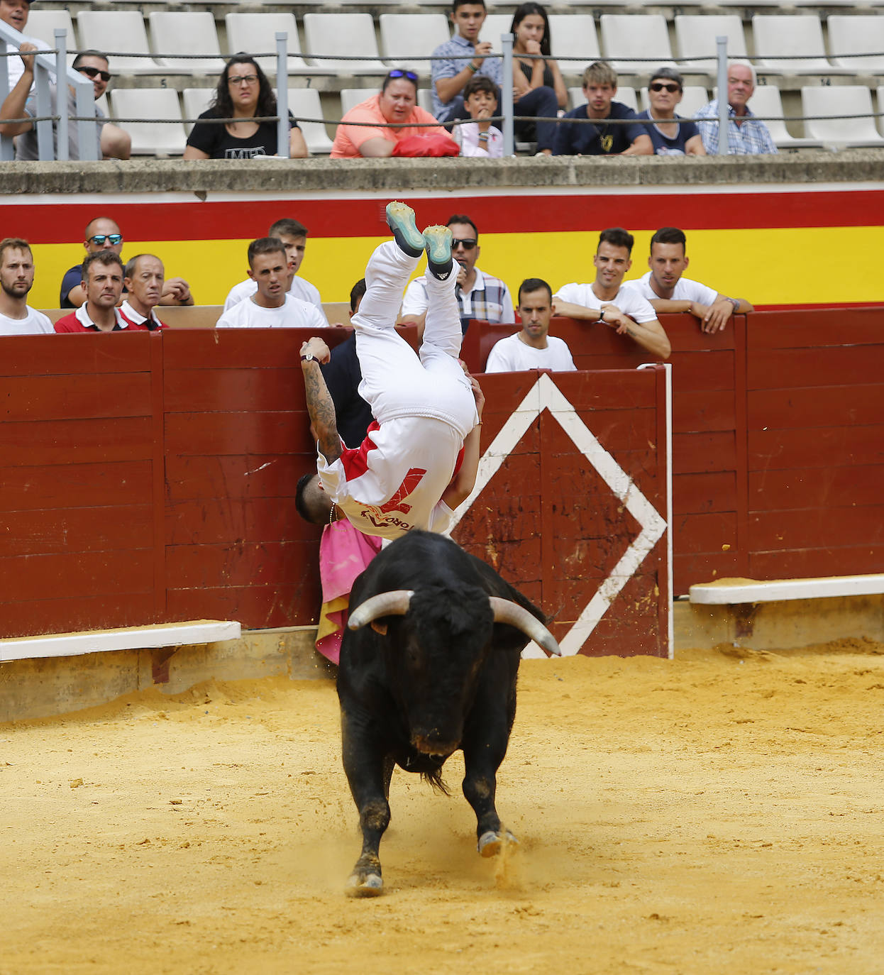 Fotos: Campeonato de recorte libre de Palencia 2019