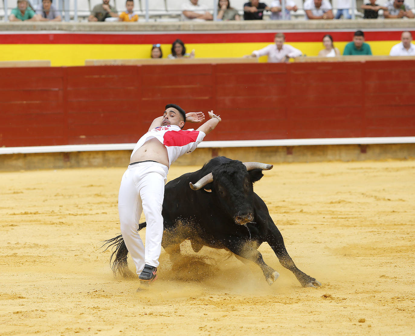 Fotos: Campeonato de recorte libre de Palencia 2019
