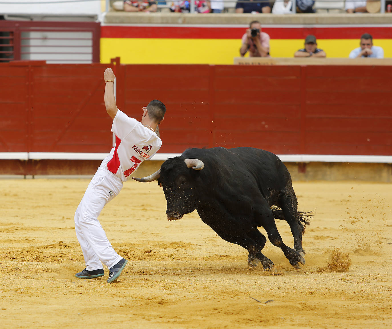 Fotos: Campeonato de recorte libre de Palencia 2019