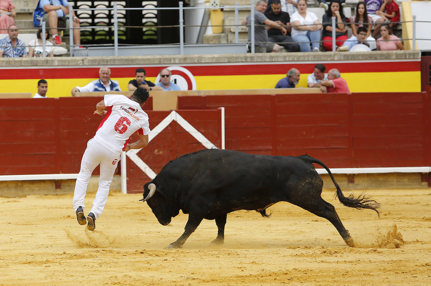 Fotos: Campeonato de recorte libre de Palencia 2019