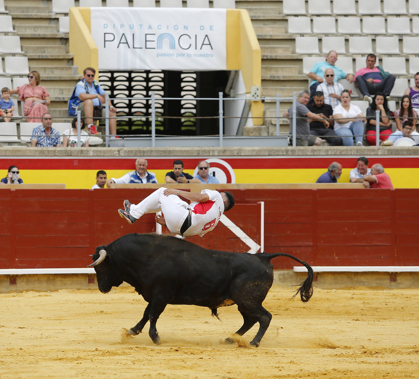 Fotos: Campeonato de recorte libre de Palencia 2019