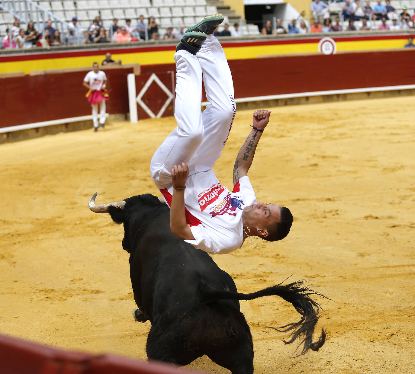 Fotos: Campeonato de recorte libre de Palencia 2019