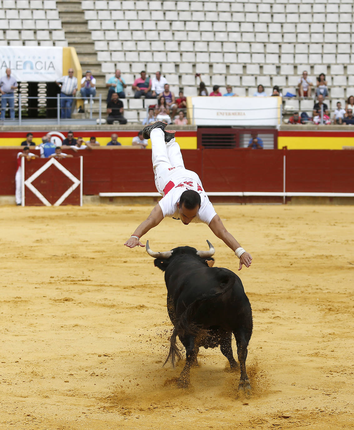 Fotos: Campeonato de recorte libre de Palencia 2019