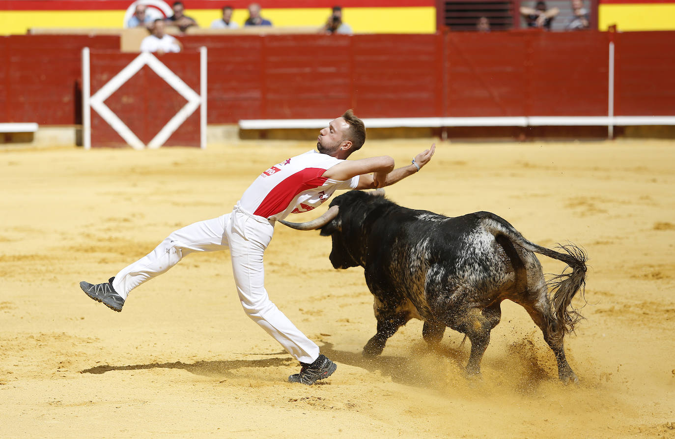 Fotos: Campeonato de recorte libre de Palencia 2019