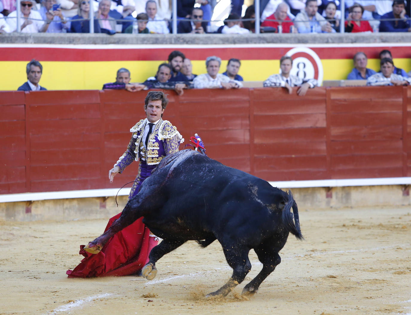 Fotos: Ferrera y Aguado triunfan en la última corrida de la feria de Palencia