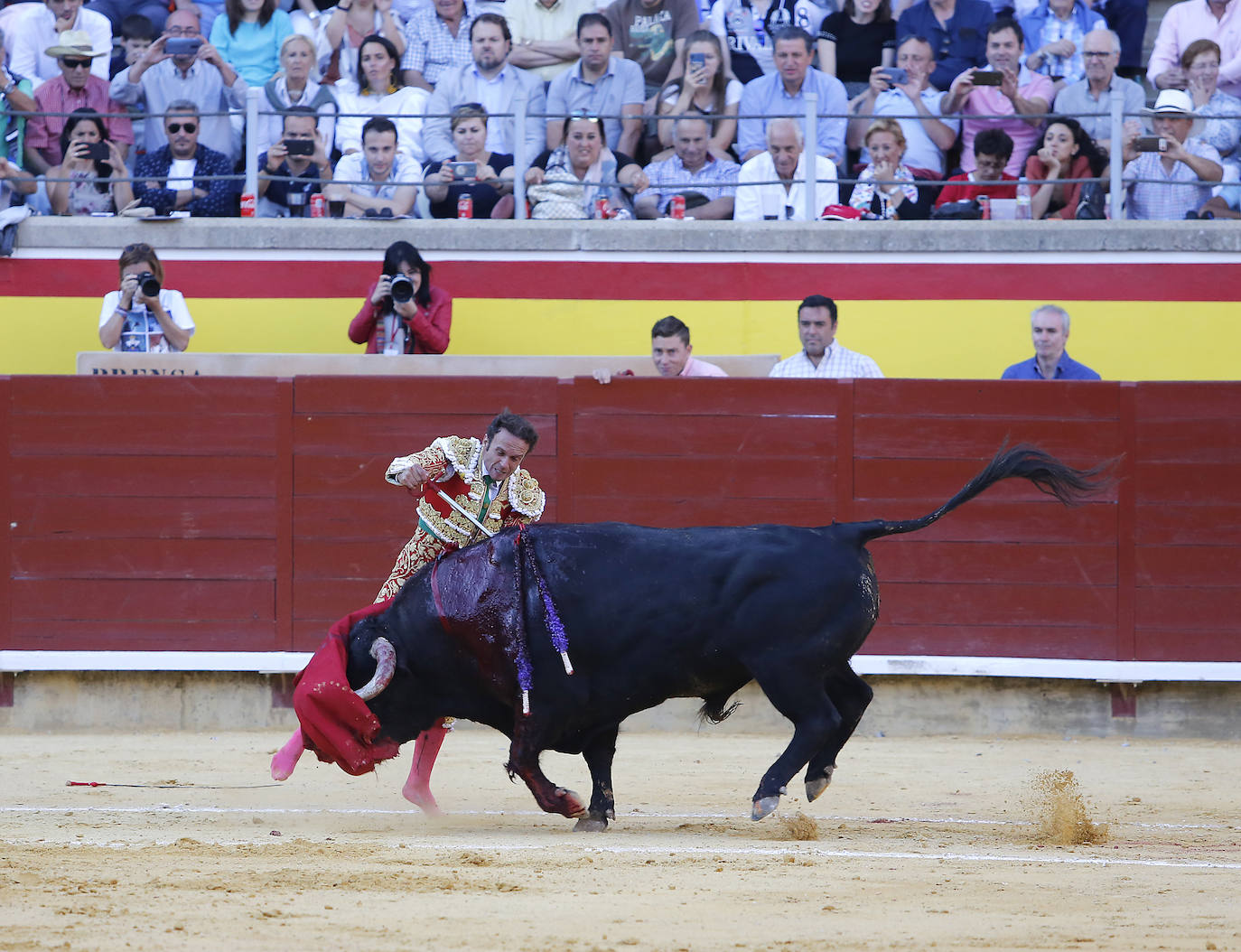 Fotos: Ferrera y Aguado triunfan en la última corrida de la feria de Palencia