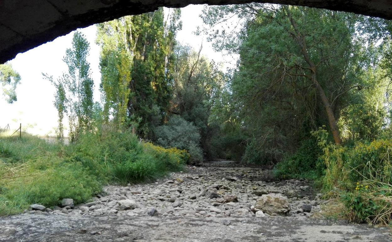 Estado del río Moros, prácticamente seco, a la altura del puente de Valdeprados.