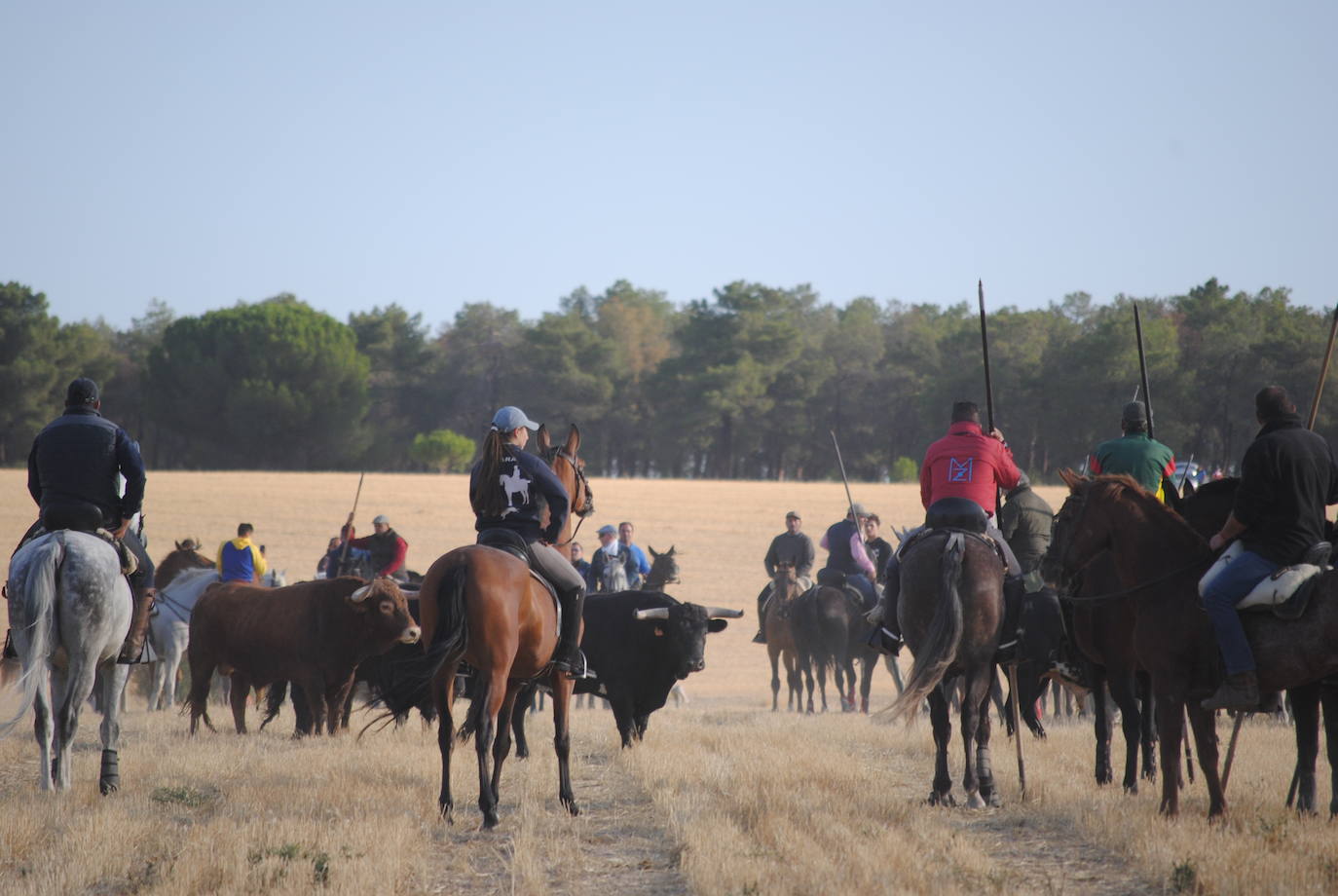 Fotos: Segundo encierro en Medina del Campo