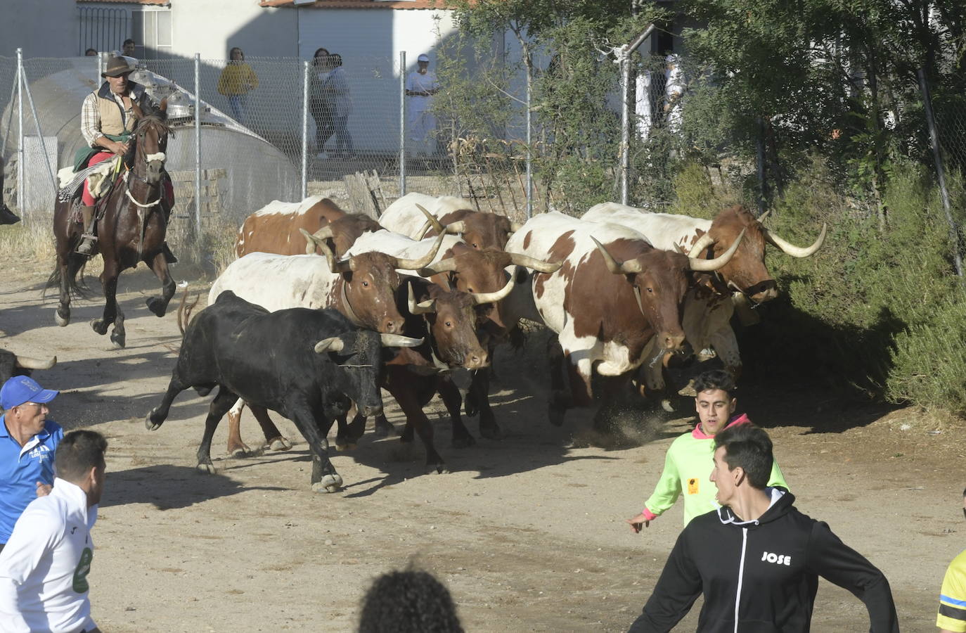 Fotos: Segundo encierro en Medina del Campo