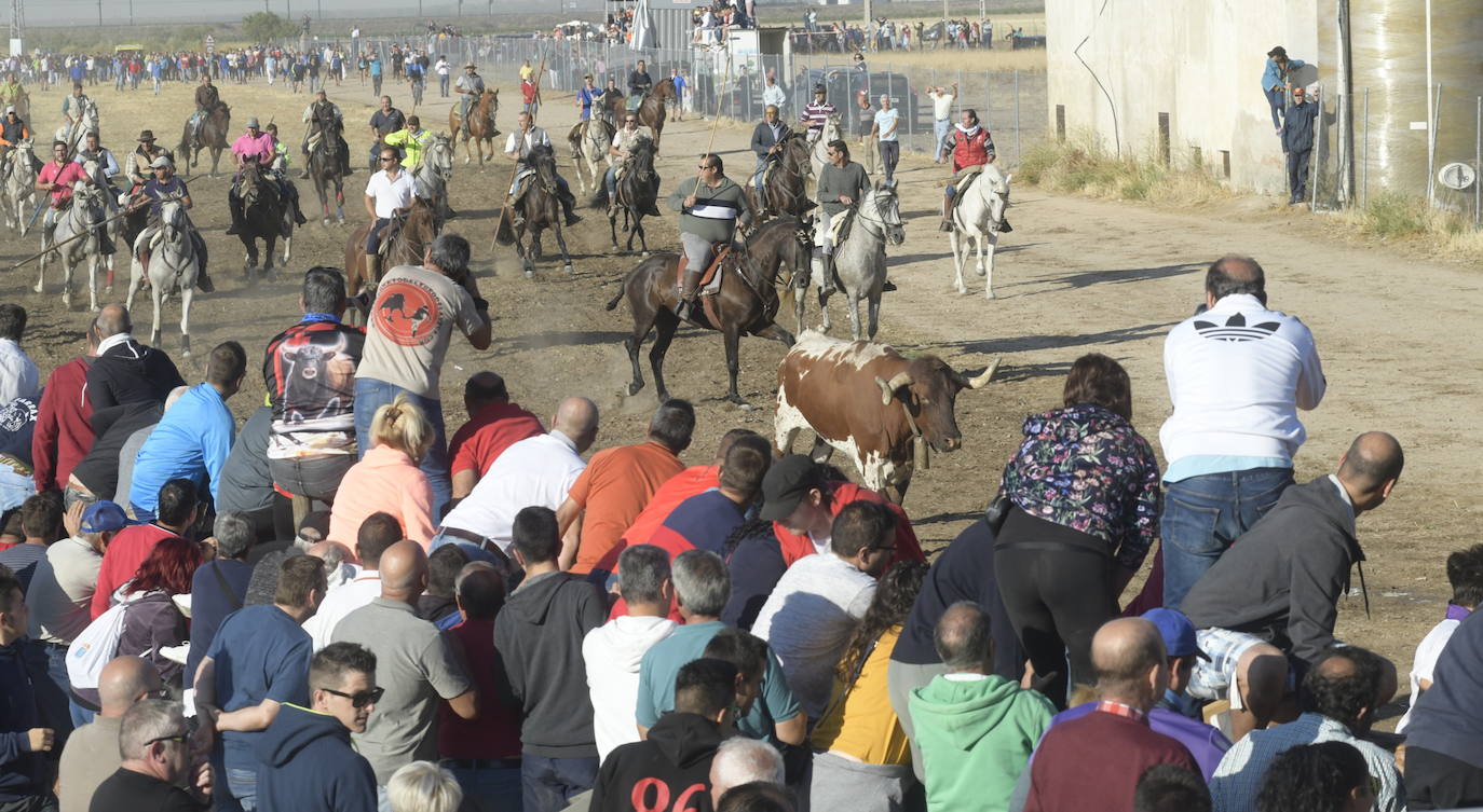 Fotos: Segundo encierro en Medina del Campo