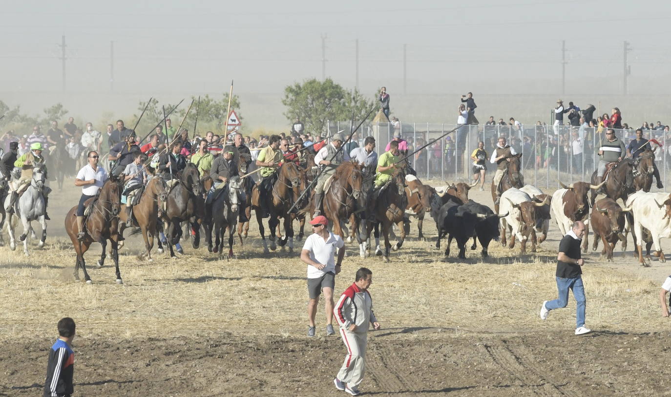 Fotos: Segundo encierro en Medina del Campo