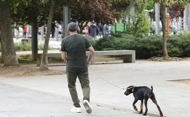 Un hombre paseo a su perro. 