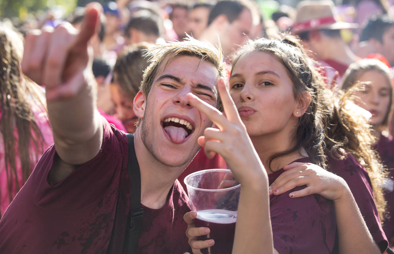 Fotos: Desfile de Peñas de las fiestas de Valladolid (3/3)