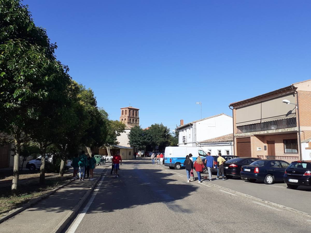 Fotos: Vaca enmaromada de Villafrechós