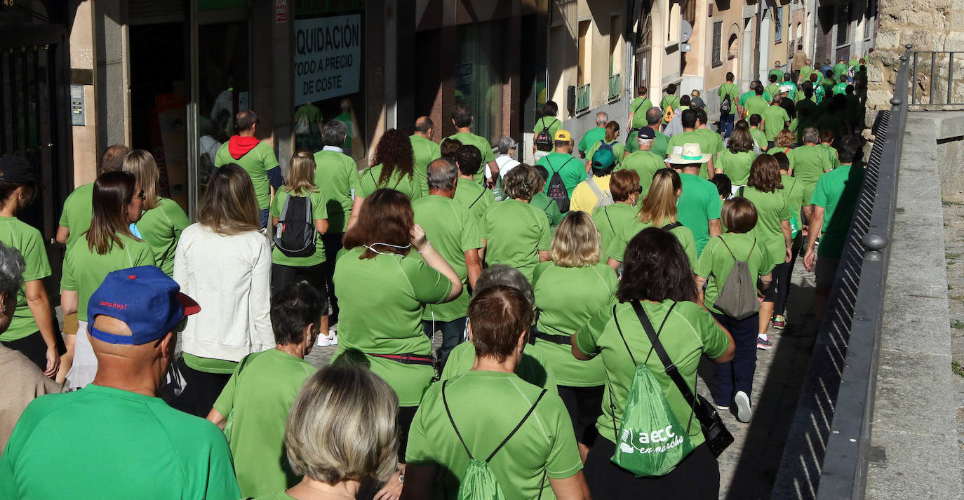 Fotos: VI Marcha contra el Cáncer en Segovia