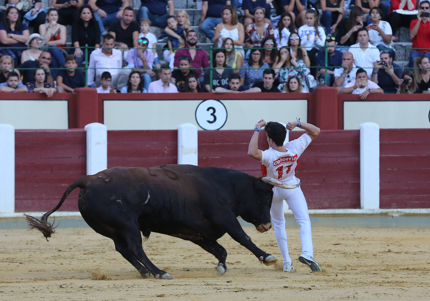 Fotos: Final de la Liga de Corte Puro