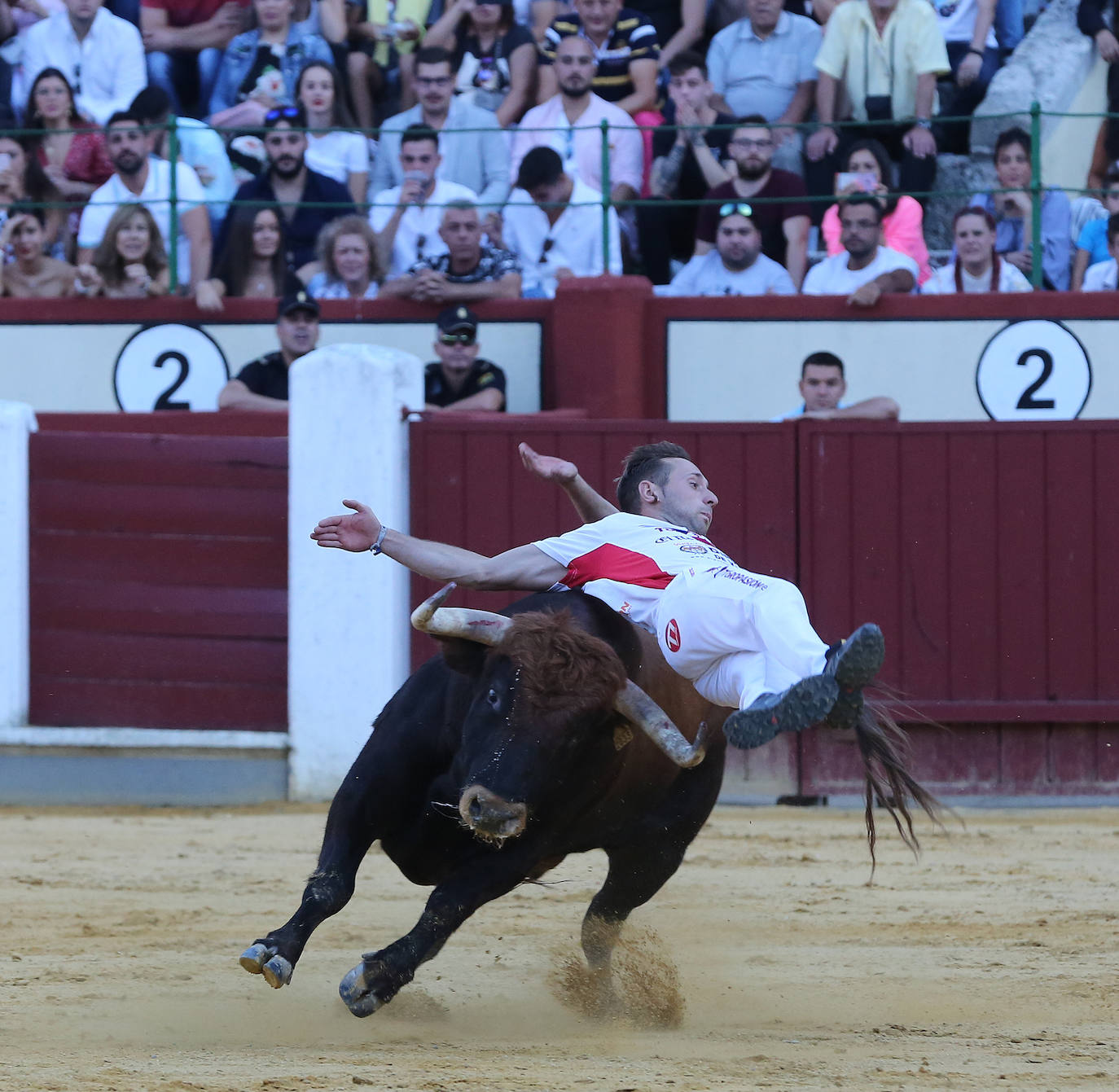 Fotos: Final de la Liga de Corte Puro