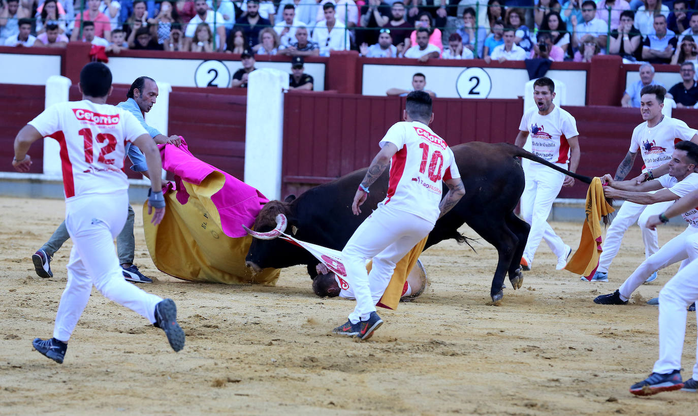 Fotos: Final de la Liga de Corte Puro