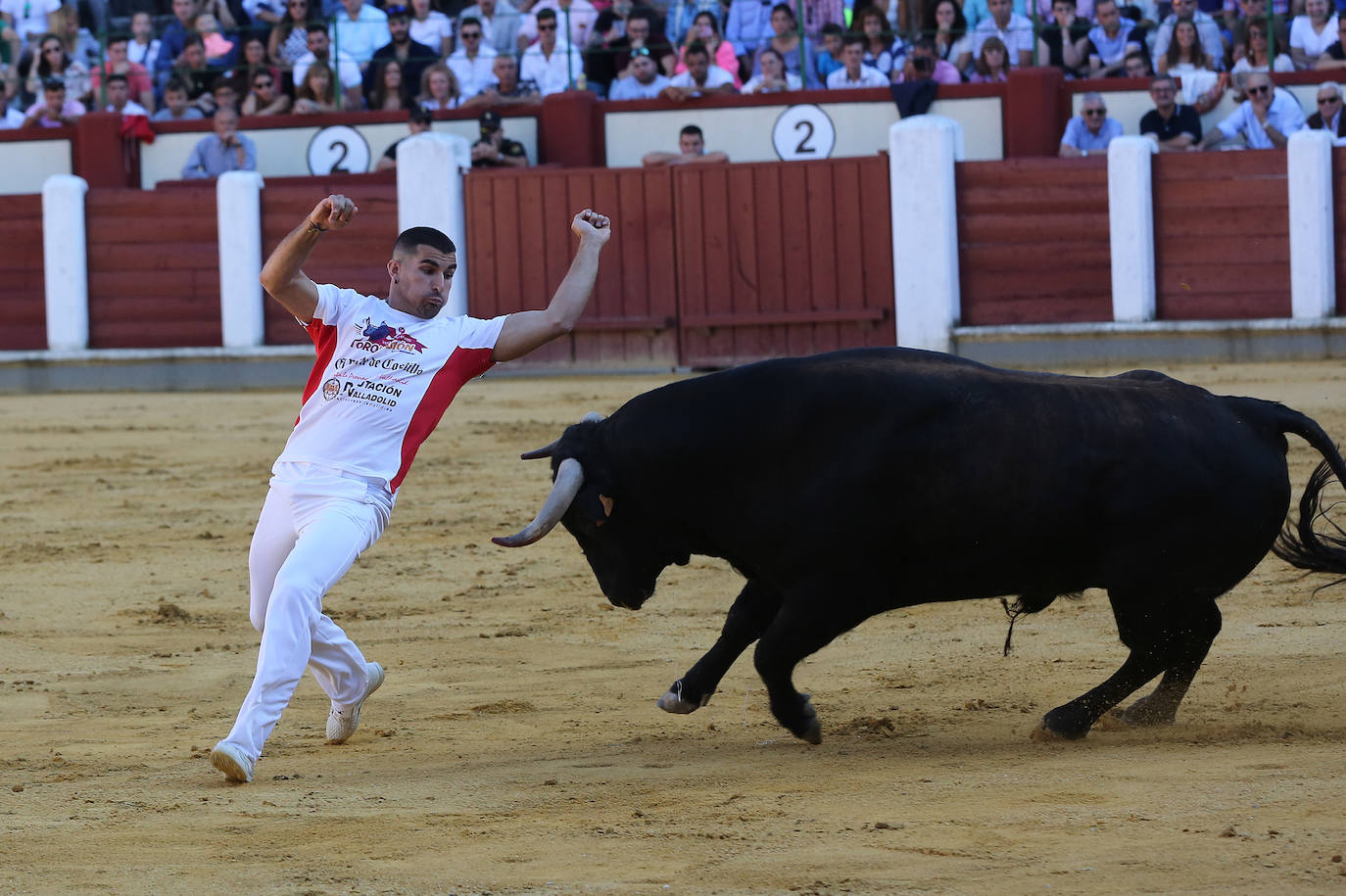 Fotos: Final de la Liga de Corte Puro