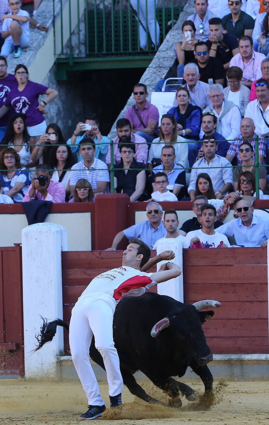 Fotos: Final de la Liga de Corte Puro