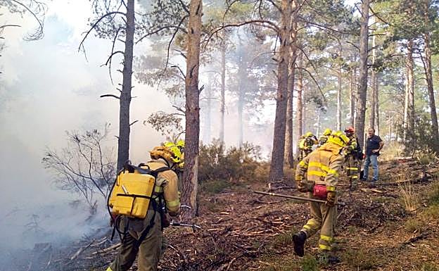 Miembros del Brif de Pinofranqueado, trabajan en al zona del incendio.