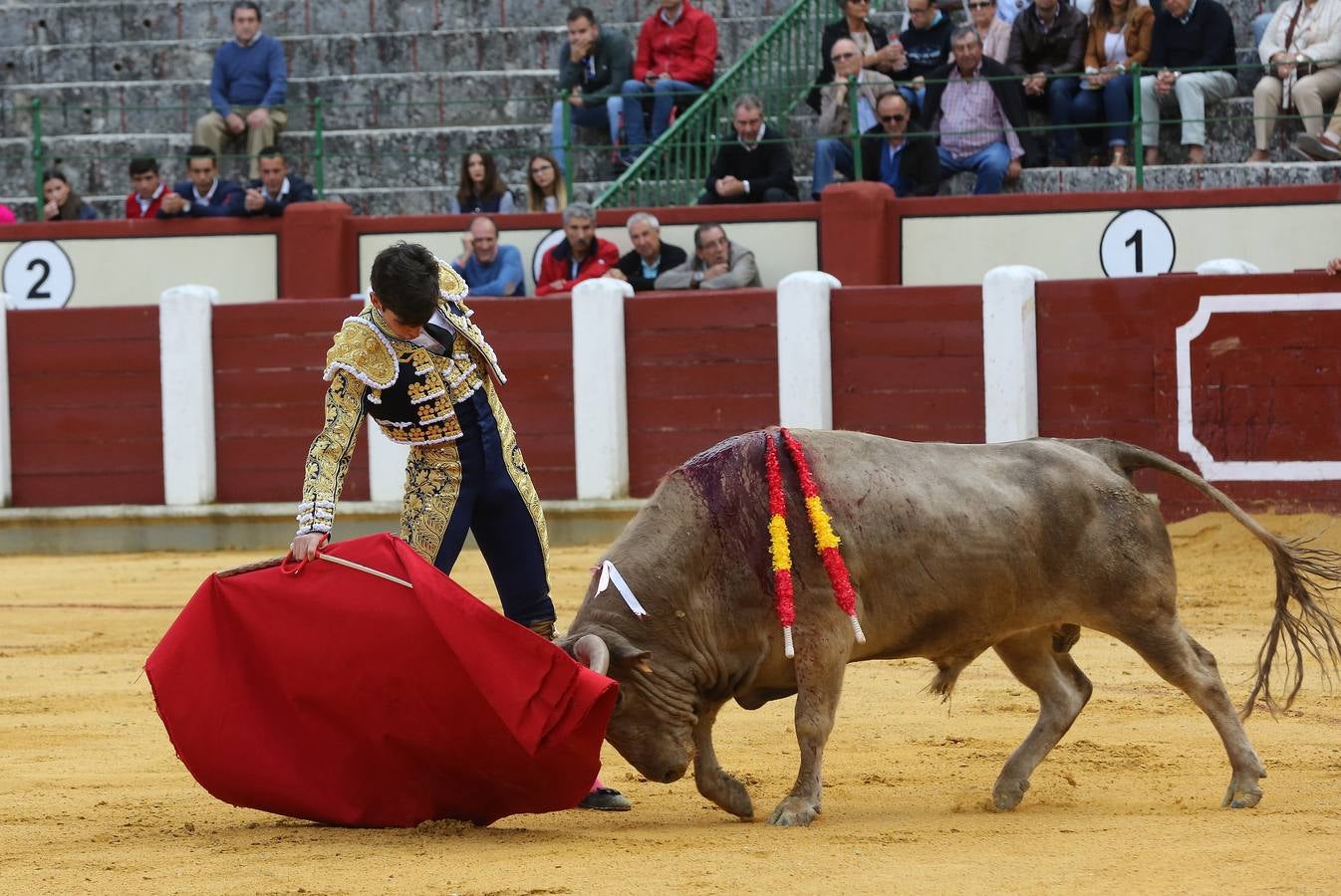 Con toros de la ganadería Torrealba para Marcos, Antonio Grande y Fernando Plaza