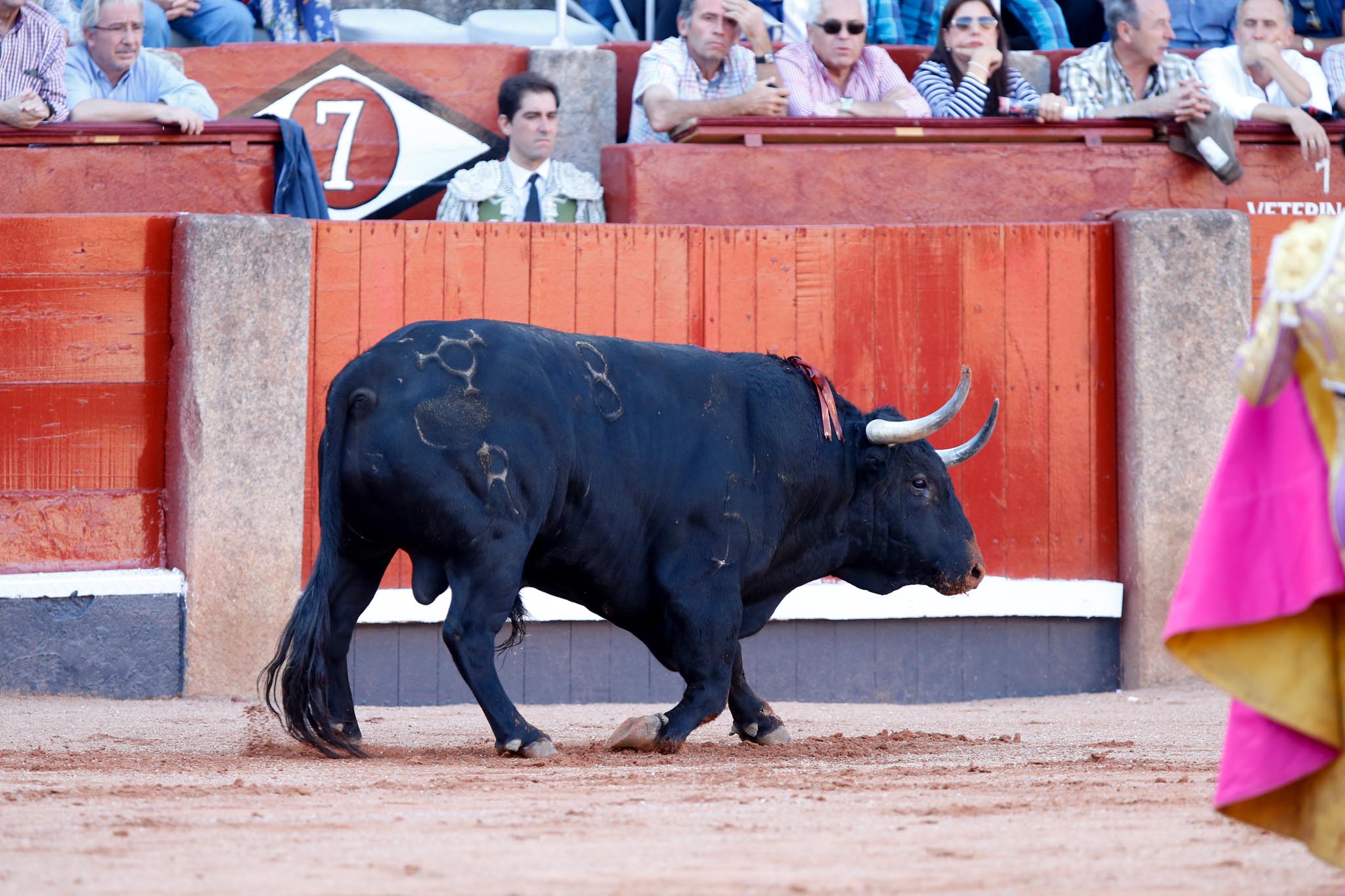 Fotos: Corrida de toros con los salmantinos López Chaves, Damián Castaño y Alejandro Marcos