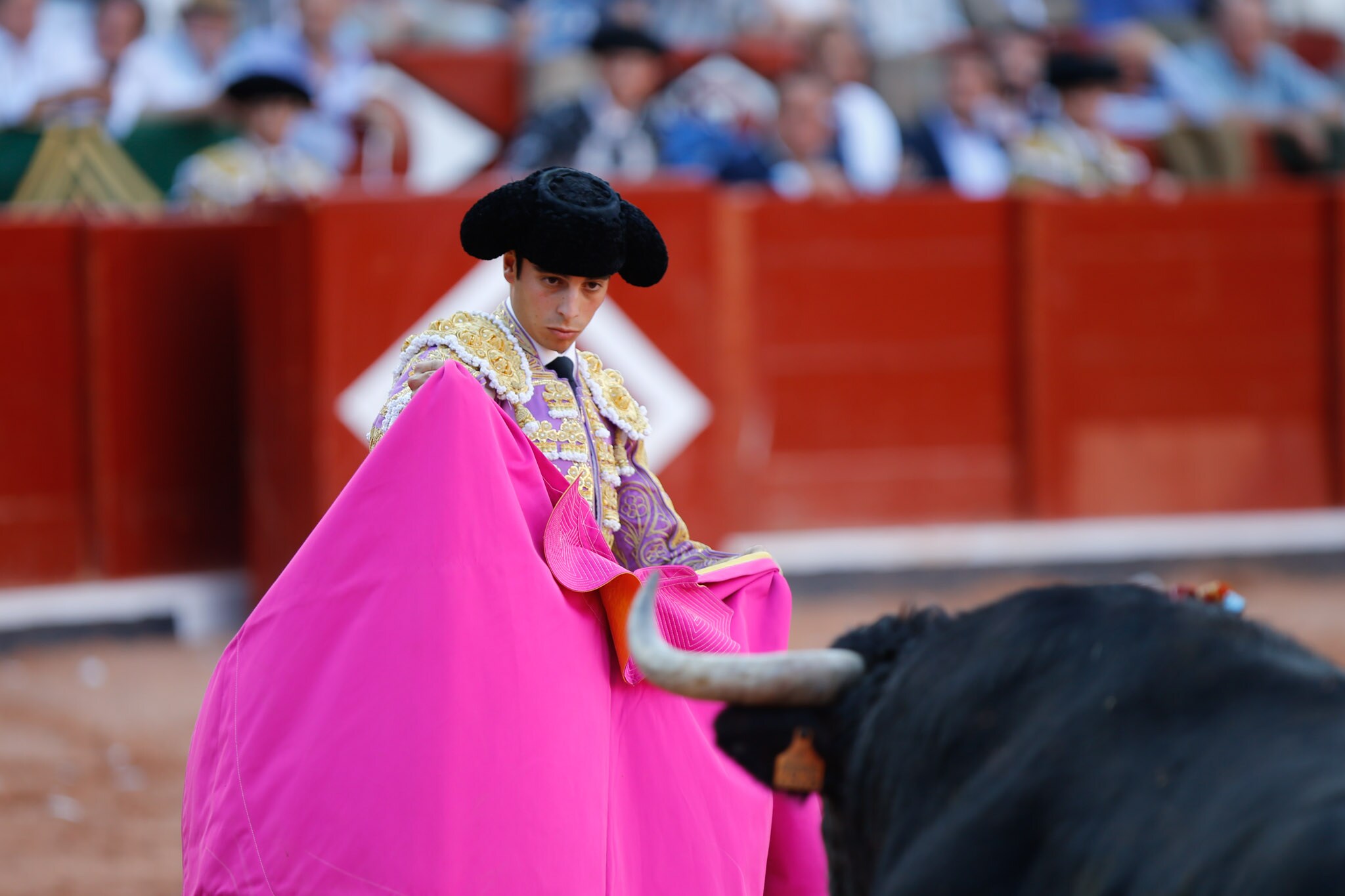 Fotos: Corrida de toros con los salmantinos López Chaves, Damián Castaño y Alejandro Marcos