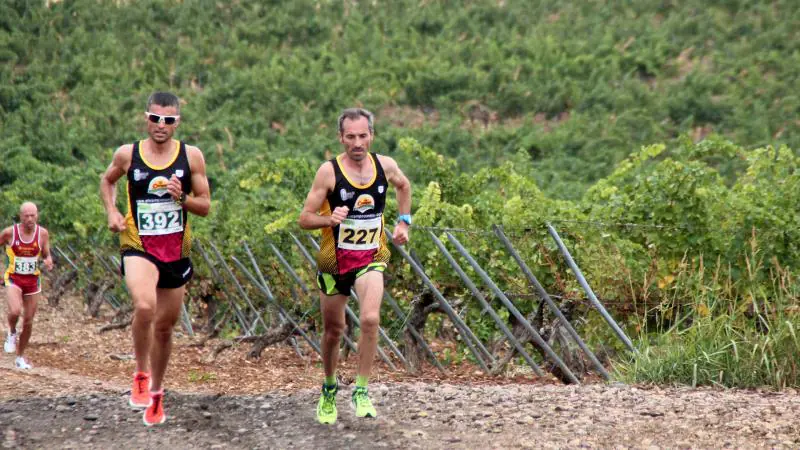 Fotos: Más de 300 atletas participan en la carrera &#039;Corriendo entre viña&#039; de Rueda