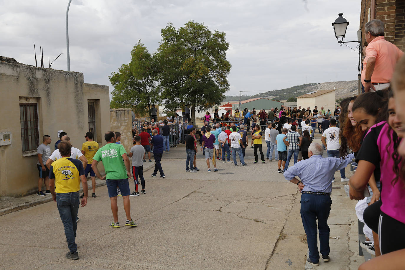 Fotos: Toro de pueblo en Astudillo