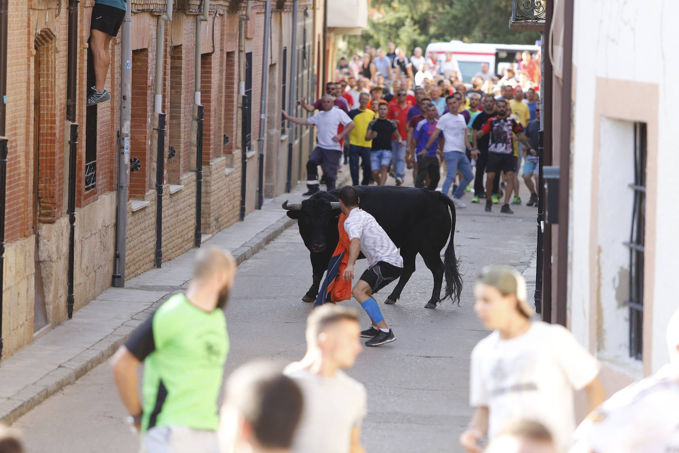 Fotos: Toro de pueblo en Astudillo