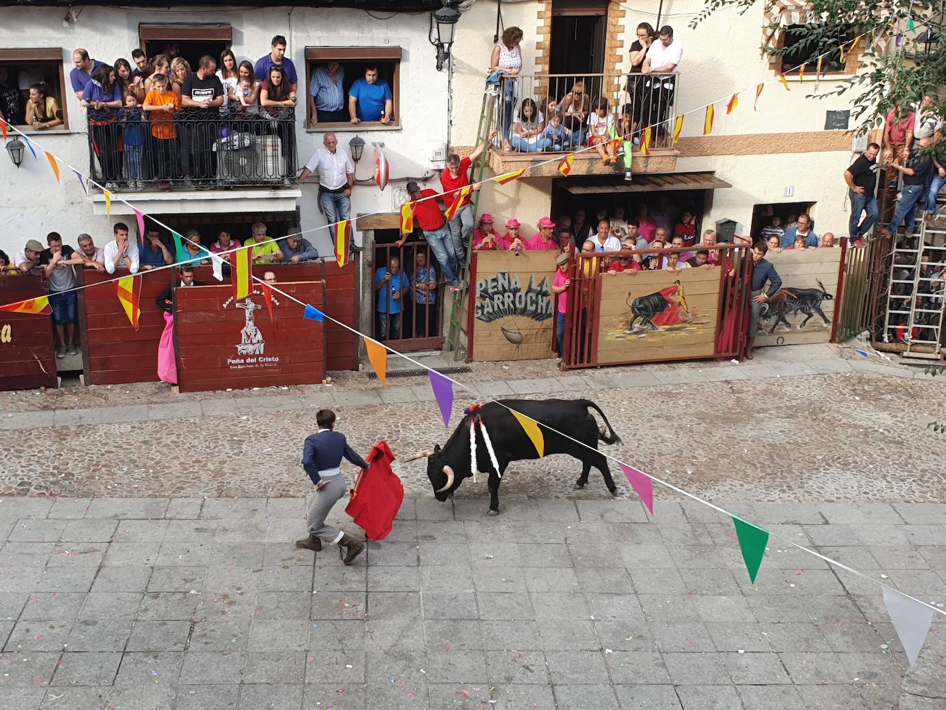 Fotos: Día del Toro en las fiestas de San Esteban de la Sierra