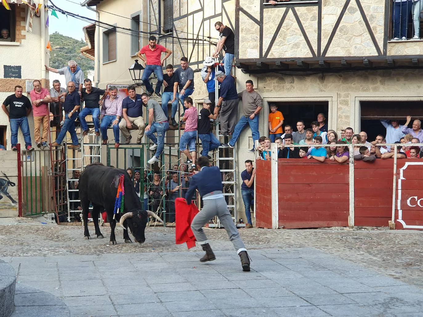 Fotos: Día del Toro en las fiestas de San Esteban de la Sierra