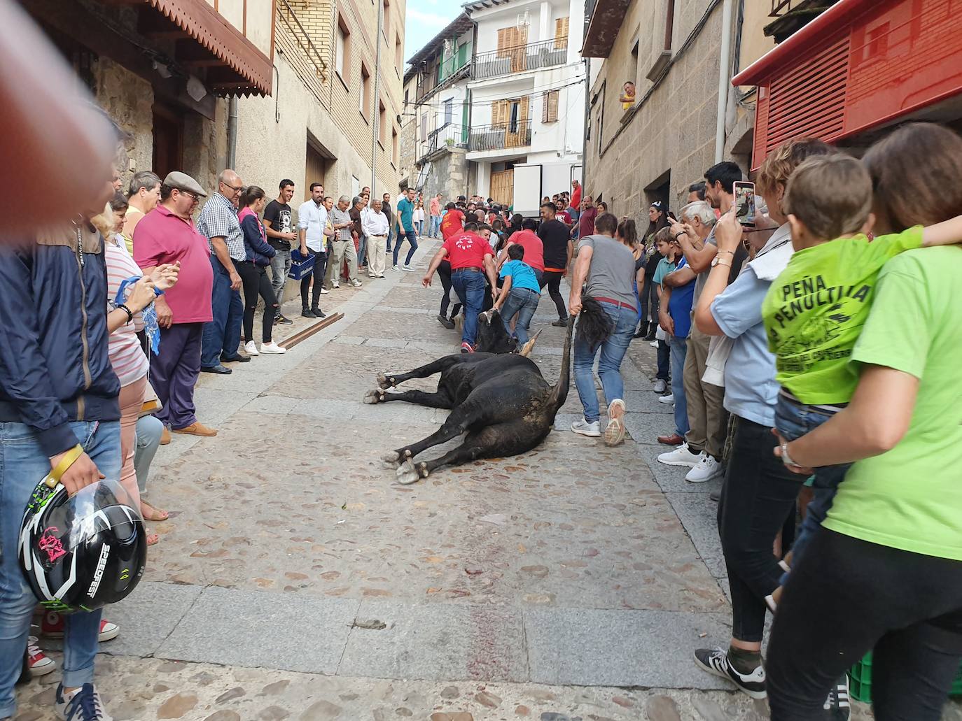 Fotos: Día del Toro en las fiestas de San Esteban de la Sierra