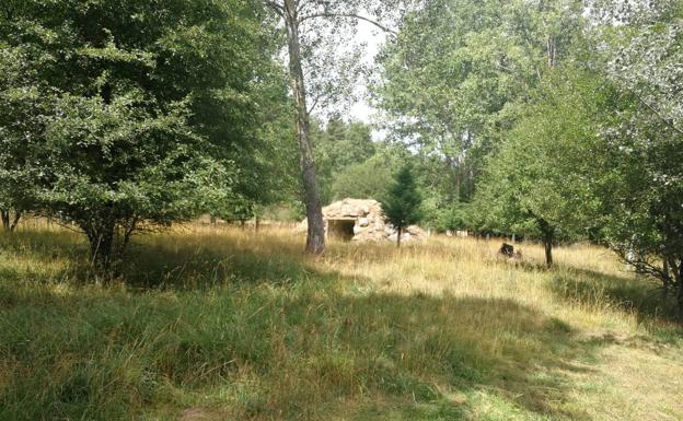 Paraje leonés donde habitará la osezna Saba. 