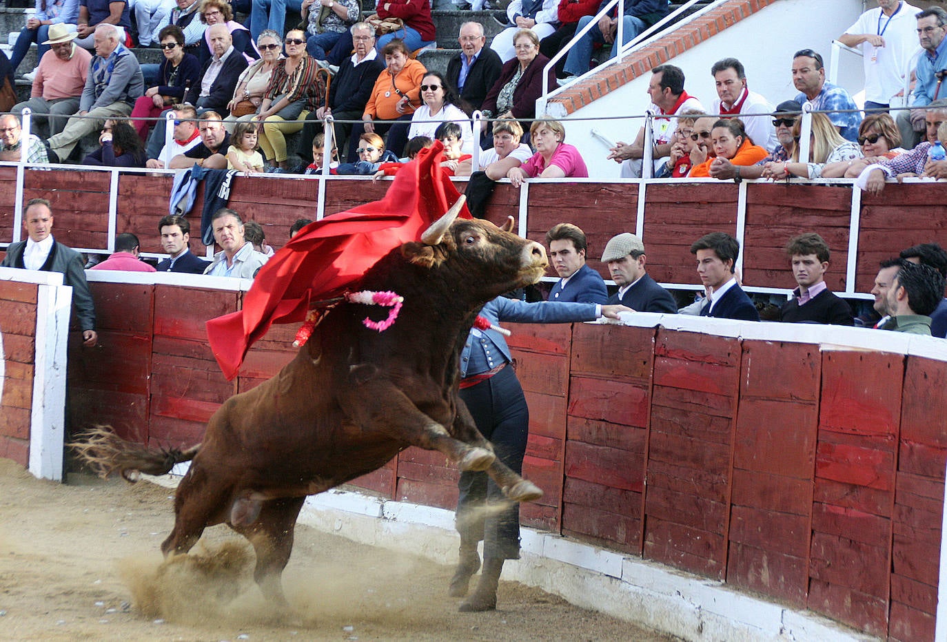 Las fiestas se están desarrollando con total normalidad. FERNANDO DE LA CALLE