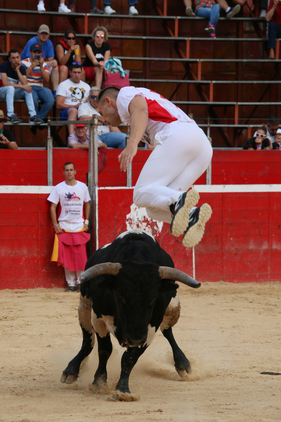 Participantes en el concurso de cortes de Riaza 