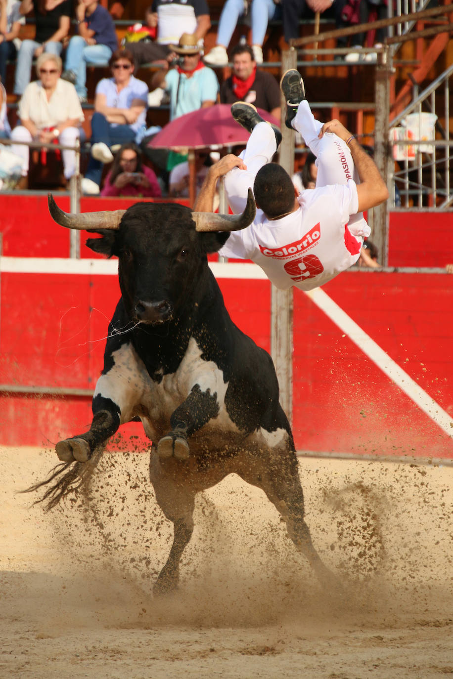 Participantes en el concurso de cortes de Riaza 