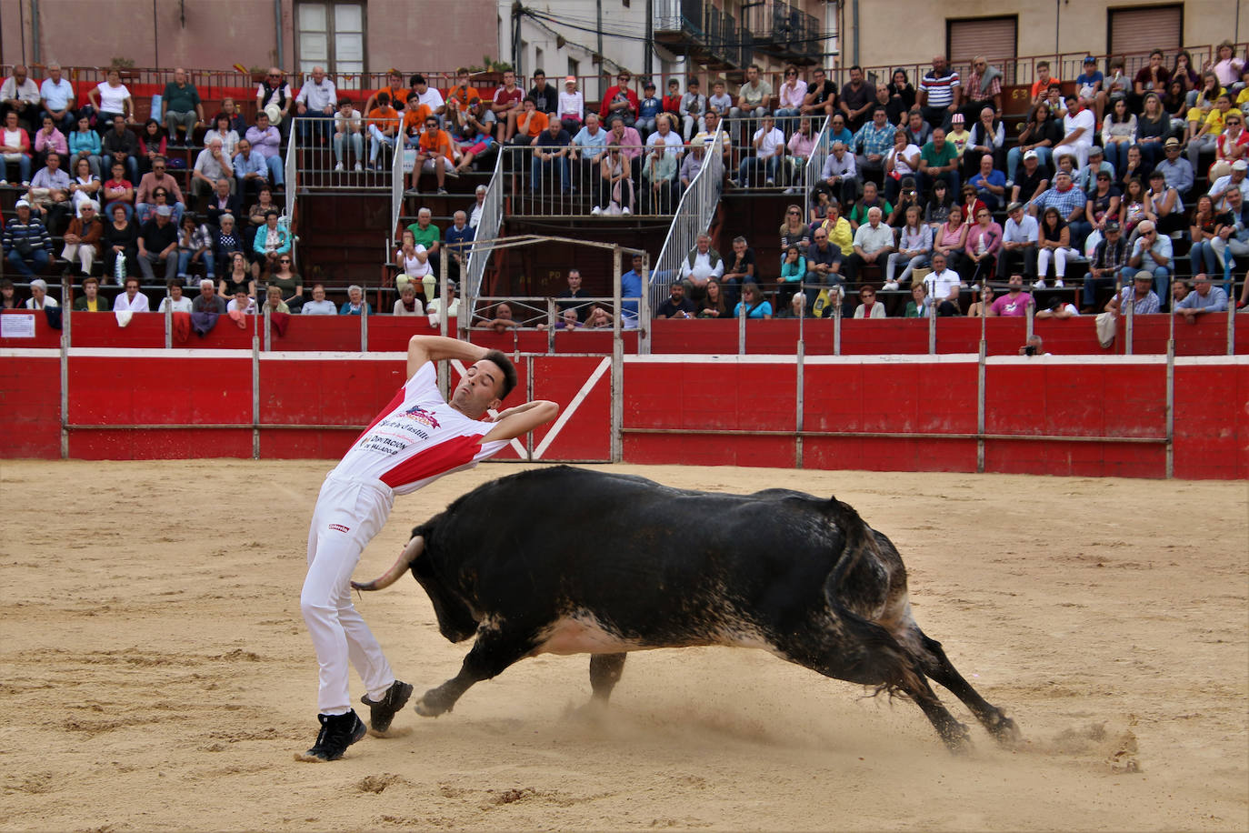 Participantes en el concurso de cortes de Riaza 