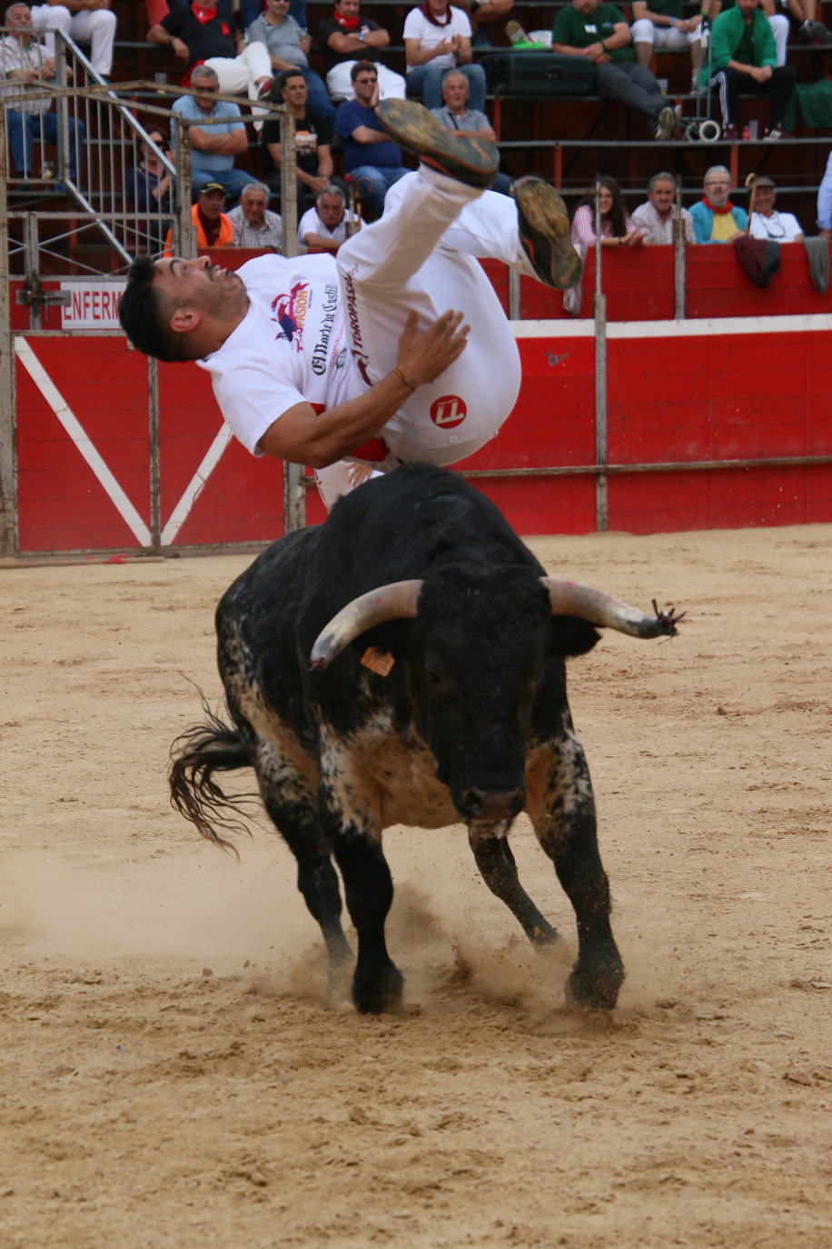 Participantes en el concurso de cortes de Riaza 