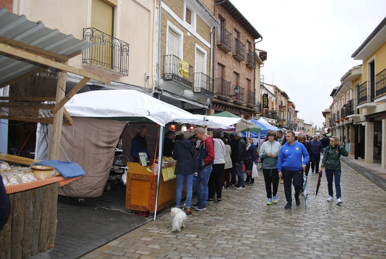 Fotos: IX Mercado del Queso de Villalón de Campos