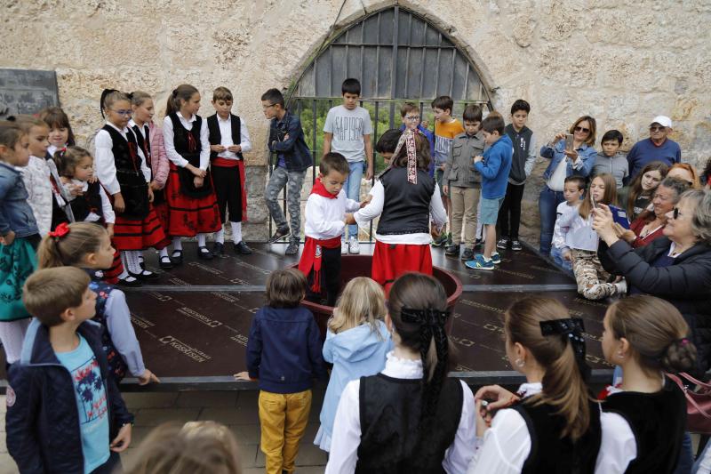 Es la primera celebración de estas características que se celebra en la comarca de Peñafiel este año.