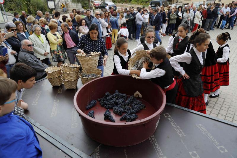 Es la primera celebración de estas características que se celebra en la comarca de Peñafiel este año.
