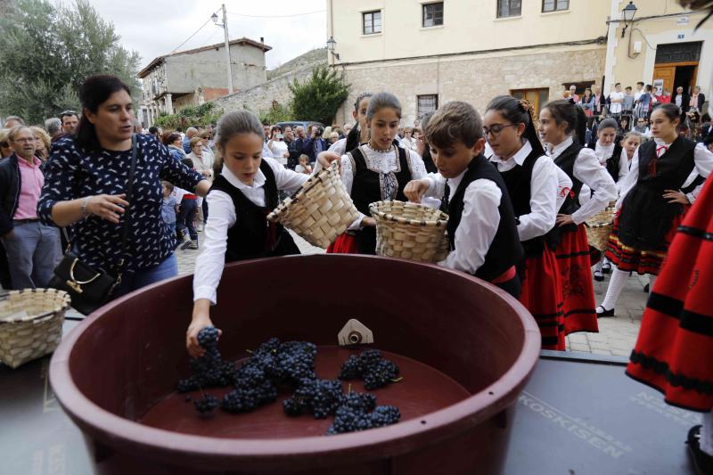 Es la primera celebración de estas características que se celebra en la comarca de Peñafiel este año.