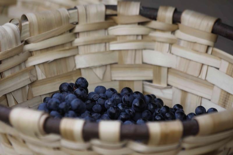 Es la primera celebración de estas características que se celebra en la comarca de Peñafiel este año.