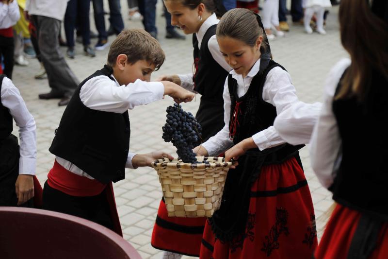 Es la primera celebración de estas características que se celebra en la comarca de Peñafiel este año.