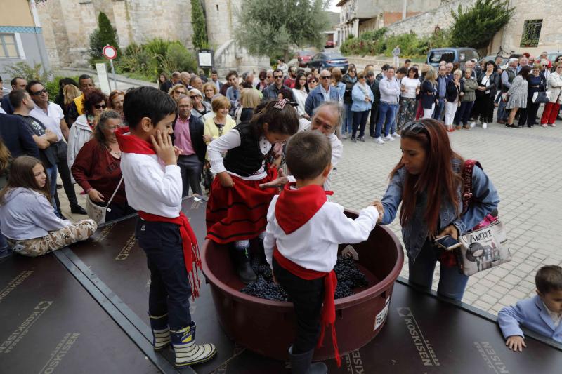 Es la primera celebración de estas características que se celebra en la comarca de Peñafiel este año.