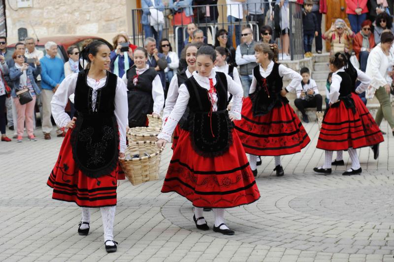 Es la primera celebración de estas características que se celebra en la comarca de Peñafiel este año.